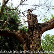 Tengragiri Wildlife Sanctuary